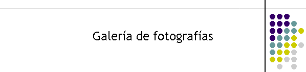 Galera de fotografas